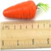 10Pcs Miniature Carrot Models, Artificial Vegetables for Mini Kitchen Decoration, Party Supplies view 2