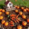 10Pcs Miniature Carrot Models, Artificial Vegetables for Mini Kitchen Decoration, Party Supplies view 4