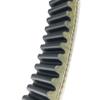- Belt 36. 8x969 Compatible with CF800 0800-055000 view 2