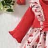 Aalizzwell Preemie Girl Clothes Premature Christmas Outfit Xmas Clothing view 3