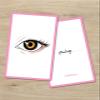 Persian Vocabulary Flashcards: Body Parts | Ideal for Kids and Adult learners. view 2