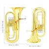 Bb Flat Euphonium Brass Instrument  3-Valve Baritone Horn with Case & Back Straps  Ideal for Beginners & Brass Band Performances  Durable & Portable view 3