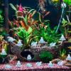 100pcs Mini Resin Seal, Glow in The Dark Tiny Resin Seal Cute Small Sea Animal Miniature Ocean Animals for Dollhouse Aquarium view 4
