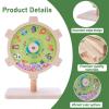 Aiwanture Spinning Activity Drum Toy with Sound, Montessori Wooden Sensory Toy for Babies, Perfect Birthday & Party Gift for 6-18 Months+ view 2