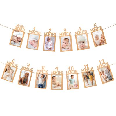 1st Birthday Photo Banner from Newborn to 12 Months Picture Banner Brown Monthly Milestones Garland First Birthday Decorations Bee Day Party Decorations for Baby Shower