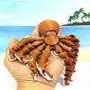 3D Printed Octopus Toy - Articulated Fidget for ADHD & Stress Relief Unique Gift Design Fidget ADHD/ADD Toy - AO-Brown view 1