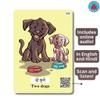 Brainy Bug Resources Audio-Enabled Hindi Flashcards 70 Words and Phrases Action Words, Animals, Family Members, Numbers, Colours Special Needs Kids Double Sided Cards 14.5 cm x 10 cm Multicolor view 4