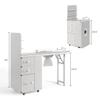 Manicure Table w/Drawers & Storage cabinets, Nail Desk for Nail Tech, Nail Table Station for Salon Beauty, Nail Desk Station (White) view 3