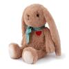 Adorlynetty Small Bunny Plush with Heart Cute Brown Rabbit Stuffed Animals Soft Stuffed Bear Plush Bear Plushie Toys Gifts for Girlfriend Boyfriend Kid view 3