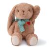 Adorlynetty Medium Bunny Plush with Heart Cute Brown Rabbit Stuffed Animals Soft Stuffed Bear Plush Bear Plushie Toys Gifts for Girlfriend Boyfriend Kid view 1