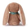 Adorlynetty Medium Bunny Plush with Heart Cute Brown Rabbit Stuffed Animals Soft Stuffed Bear Plush Bear Plushie Toys Gifts for Girlfriend Boyfriend Kid view 4