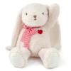 Adorlynetty Medium Bunny Plush with Heart Cute White Rabbit Stuffed Animals Soft Stuffed Bear Plush Bear Plushie Toys Gifts for Girlfriend Boyfriend Kid view 1