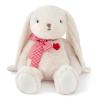 Adorlynetty Medium Bunny Plush with Heart Cute White Rabbit Stuffed Animals Soft Stuffed Bear Plush Bear Plushie Toys Gifts for Girlfriend Boyfriend Kid view 2