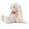 Adorlynetty Medium Bunny Plush with Heart Cute White Rabbit Stuffed Animals Soft Stuffed Bear Plush Bear Plushie Toys Gifts for Girlfriend Boyfriend Kid view 4