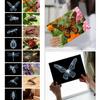 16 Animal X-Ray Set, Educational Science Kit for Kids to Explore Bone Structures for Lightstand Accessories, Light and Shadow Areas (Insect Series) view 2