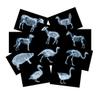 10 Pcs Farm Animal X-Ray Science Kit for Light and Shadow Area Light Table Accessories view 1