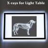 10 Pcs Farm Animal X-Ray Science Kit for Light and Shadow Area Light Table Accessories view 2