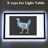 10 Pcs Farm Animal X-Ray Science Kit for Light and Shadow Area Light Table Accessories view 4