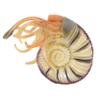 LALADEFIEE Realistic Simulation Nautilus Model for Lifelike Animal Ornament Educational Artificial Nautilus for Bedroom Decor and Photo Props Unique Shaped Design view 1