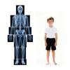 15 Pcs Human X-Ray Science Kit Tutorial Body Skeleton Xray Kit view 1