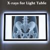 15 Pcs Human X-Ray Science Kit Tutorial Body Skeleton Xray Kit view 3
