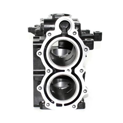 Cylinder Crankcase FIT FOR 9.8hp 9.9hp M9.8B M9.9B