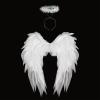 3D Angel Wings Halo Headband Set,Realistic Fairy Wings Halo Fancy Dress for Halloween Carnival Costume Party (White) view 1