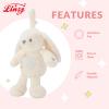 Linzy 10" Bunny Stroller Toy Soft Bunny Plush Baby Toy with LED Night Light & Lullaby Music, Birthday Christmas for Newborns Toddlers Kids view 2