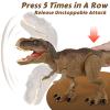 HAYXUN Jurassic Tyrannosaurus Rex Action Figure Dinosaur Toy for Kids 3-5, 5-7 with Sound & Movement, Attack T Rex Dino Toys with Rampage Attack, Chomp & Roar  Birthday Gift for Kids Ages 3+ view 2