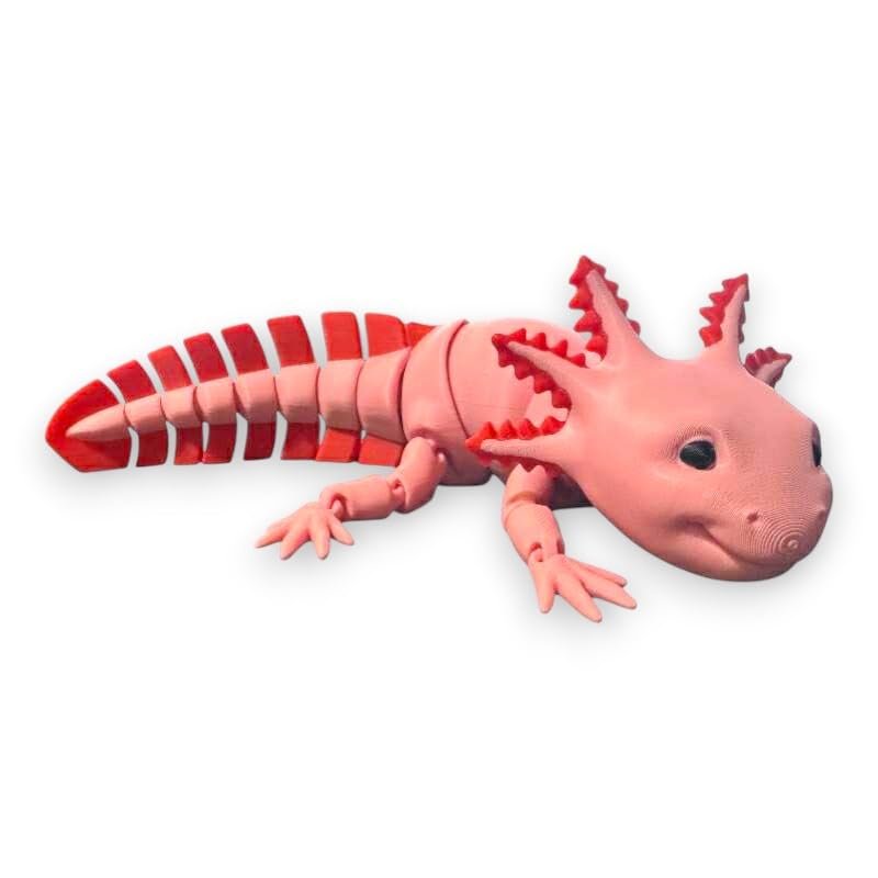 Articulated Axolotl | Home Dcor and Office Desk Toys | Autism, ADHD, Sensory | 3D Printed Gift