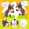 Animal Hand Puppets 11 Inch Safari Jungle Zoo Woodland Puppet Rainforest Grassland Animals Role-Playfor Kids Storytelling Imaginative Pretend Play Teaching Preschool Learning Educational(Kangaroo) view 3