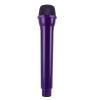 Bewinner Toy Microphone (Dark Purple) view 3
