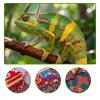 AHZILEI Multicolor Chameleon Building Blocks  Color Changing 3D Reptile Mosaic Wall Art & Table Display, 5604 PCS Creative Indoor Play Set, Ideal Birthday Christmas Toy Gift for Teens & Adults view 3