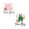 100 Pcs Gender Reveal Paper Stickers Boy or Girl 2 Inch Baby Shower Boy or Girl Gender Reveal Self-Adhesive Stickers Label for Gift Greeting Card, Baby Shower Party Decorations Supplies view 1