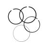 HEFUBAOLI Suitable for Piston Rings Set for Sea D 4TEC RXP RXT Supercharged Rotax 1503 130 155 215 255 260 view 1