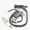 #US Replace Parts Ignition Coil Spark Plug for Powerland PDST24 PDST24E PD80 (vieparts#292511049) view 1
