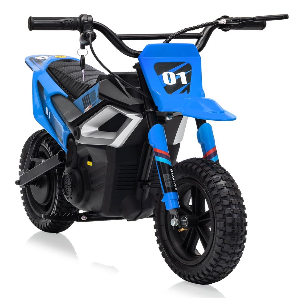 24V Electric-Dirt-Bike for Teens, 12" Fat Tire Electric Motorcycle with Hydraulic Brakes & Spring Suspension, 130lbs Max Load, 350W Brushless Motor, Mountain Off-Road Motorcycle for Boys Girls