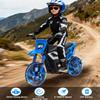 24V Electric-Dirt-Bike for Teens, 12" Fat Tire Electric Motorcycle with Hydraulic Brakes & Spring Suspension, 130lbs Max Load, 350W Brushless Motor, Mountain Off-Road Motorcycle for Boys Girls view 4