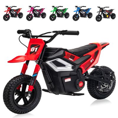24V Electric Dirt Bike, 350W Electric Ride On Motorcycle