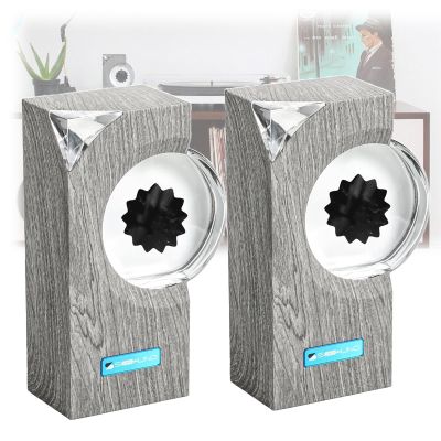 DKDZZXHUS Magnetic-Fluid Speaker, Magnetic-Fluid Sound Visualizer, Dancing Magnetic-Fluid Lamp, Symbiont in a Bottle Magnetic-Fluid Tabletop Toy (2pcs Brown)