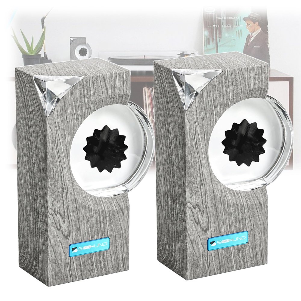 DKDZZXHUS Magnetic-Fluid Speaker, Magnetic-Fluid Sound Visualizer, Dancing Magnetic-Fluid Lamp, Symbiont in a Bottle Magnetic-Fluid Tabletop Toy (2pcs Brown)