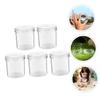 HAKIDZEL 5Pcs Outdoor Bug Viewer Magnifying Jars Transparent Insect Observation Boxes for Science Exploration Nature view 2