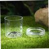HAKIDZEL 5Pcs Outdoor Bug Viewer Magnifying Jars Transparent Insect Observation Boxes for Science Exploration Nature view 4