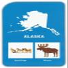 Deluxe States & Capitals Educational Flashcards - Includes 50 Jumbo Cards! view 3