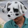 Realistic Fursuit Dalmatian Dog Mask,Half Face Dalmatian Mask,Plush Furry Dog Headgear for Halloween Birthday Role-Play Party view 2