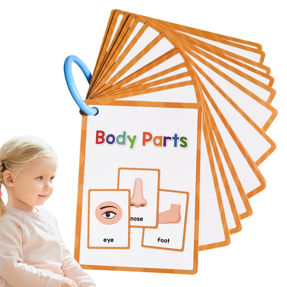 Body Parts Pocket Card - English Flashcard, 15 Pieces Vocabulary Learning Set, Durable Educational Material, Fun Teaching Aid | Toddler Language Learning Tool, Classroom Preschool Kids Study Resource