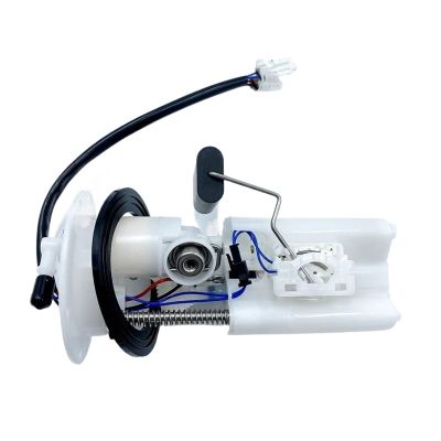 HS UTV250 Fuel For HS MO Bennch HS MSU250 UTV 250cc Sector Vector P301001395000000 39500-120-0000