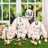 Custom Reversible Carrot Strawberry Bunny Plush with Zipper, Easter Bunny Stuffed Animal,Multiple Sizes view 4