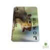 Custom Metal Playing Cards | Personalized Poker Deck with Ace, King, Queen & Joker | Unique Collector Gift for Gamers, Card Players & Poker Fans (2.5x3.5 (Playing Card Size)) view 3