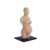 4D Human Anatomy Skeleton Torso Model, Transparent Pregnant Woman Torso Model, 41 Parts Detachable, Suitable for Preschool and School Teaching Display view 4